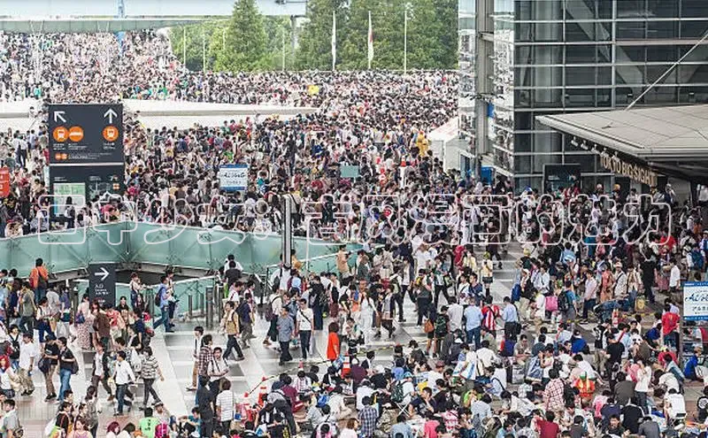 樱花漫画官方版正版入口网页